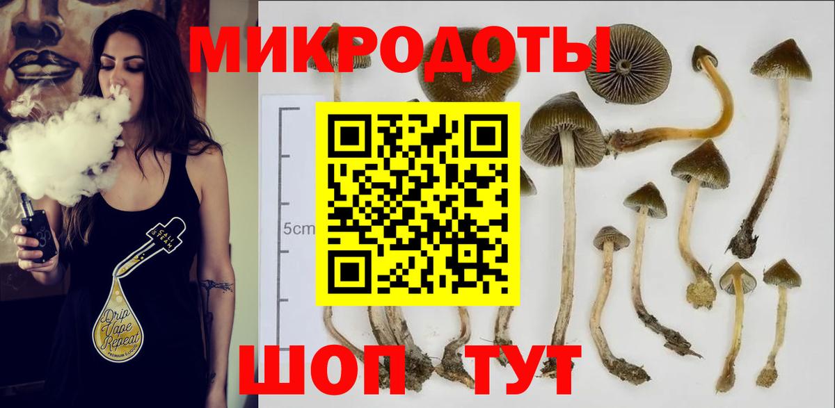 Малгобек  Псилоцибиновые грибы мухоморы  Вход с VPN  Псилоцибиновые грибы Psilocybine cubensis 